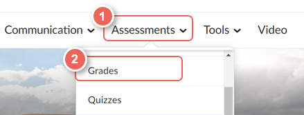 on the navbar select assessments then grades