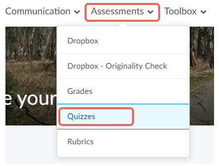 access assessment quizzes