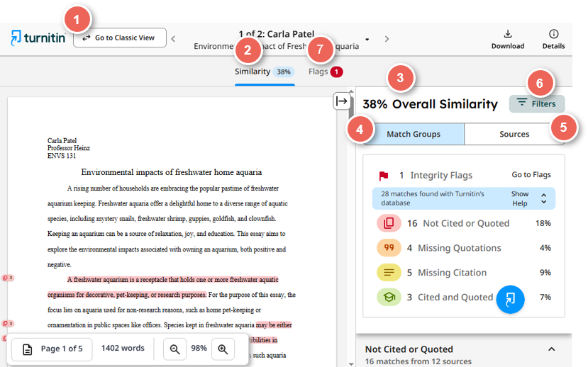 enhanced report view overview no ai