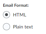 ensure email format is HTML