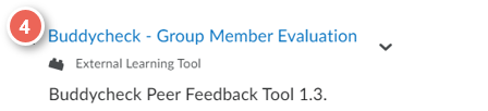 Buddycheck Group Member Evaluation