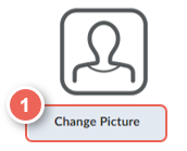 select change picture