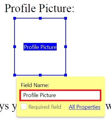 Image Field Name