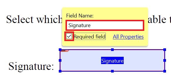 Signature Field Name