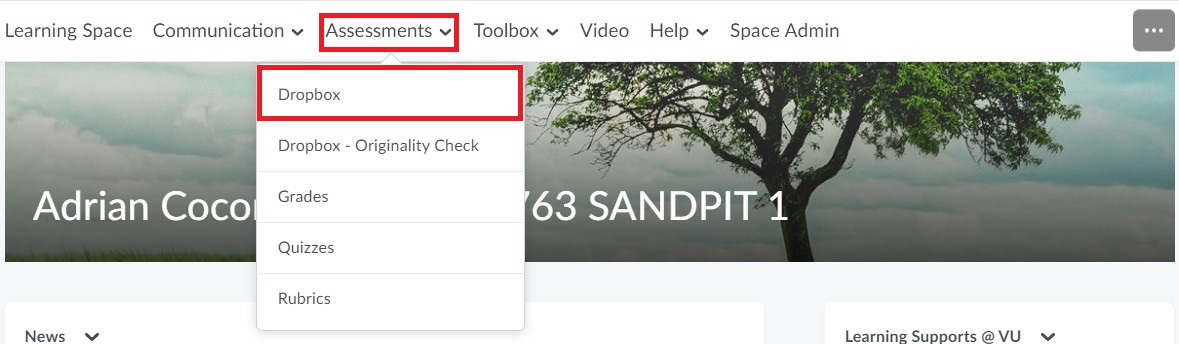 Select Assessments in the Navbar to activate the dropdown box and select Dropbox 