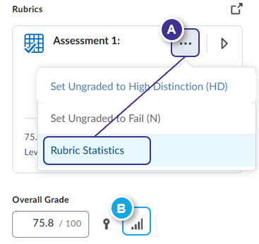 Access Rubric and Overall Grade Statistics