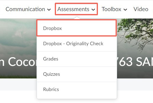 Select Assessments in the Navbar to activate the dropdown box and select Dropbox 