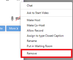 can participants join a zoom meeting without the host can participants join a zoom meeting without the host