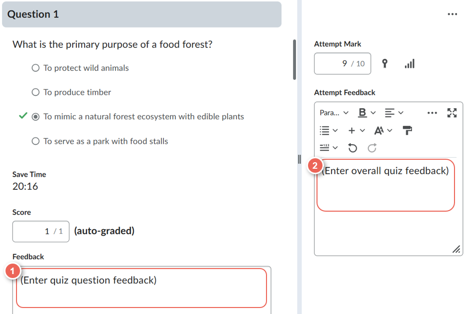 provide question and overall feedback
