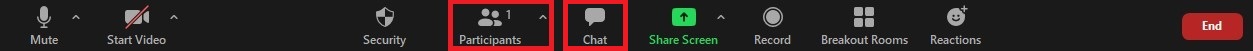 Zoom Tool Bar Select Participants and Chat