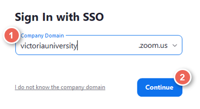 zoom enter vu domain then continue