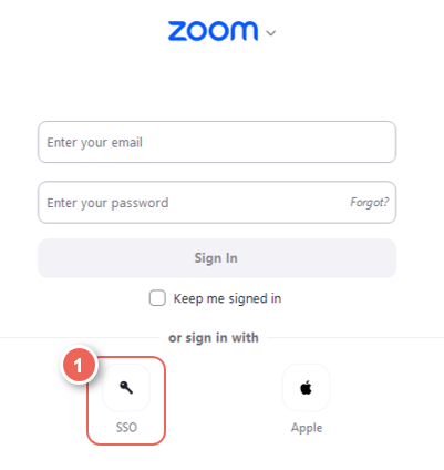 zoom sign in using SSO