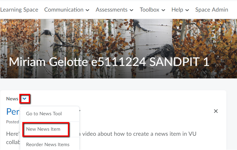 create_news_item