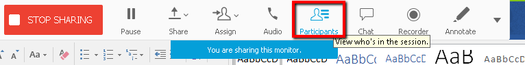 At the top-middle section of the screen, the participant button is selected