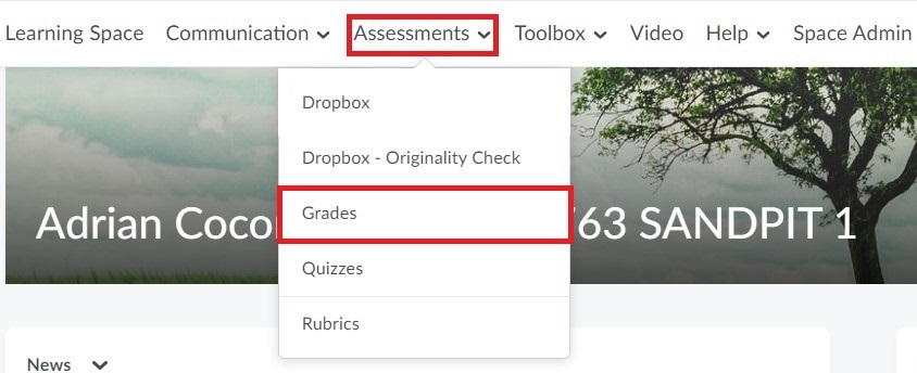 Select Assessments in the Navbar to activate the dropdown box and select Grades