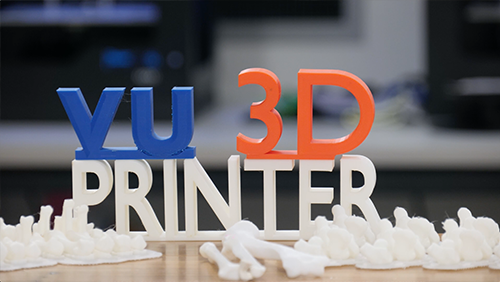 Showcase 3D Printer Time Lapse